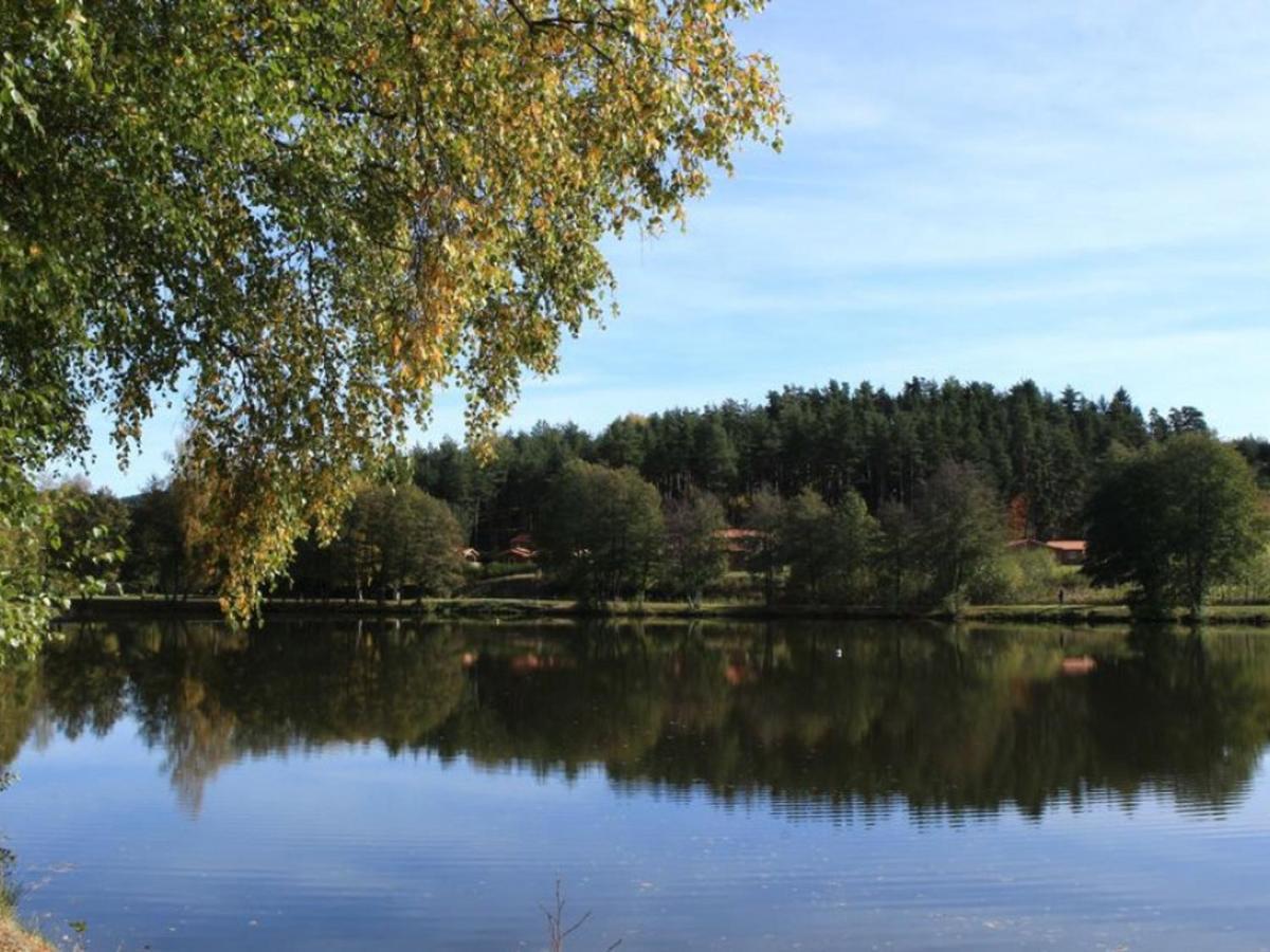 Gite Avec Cheminee, Terrasse Et Wifi - Animaux Acceptes - Fr-1-496-163 Usson-en-Forez Eksteriør bilde